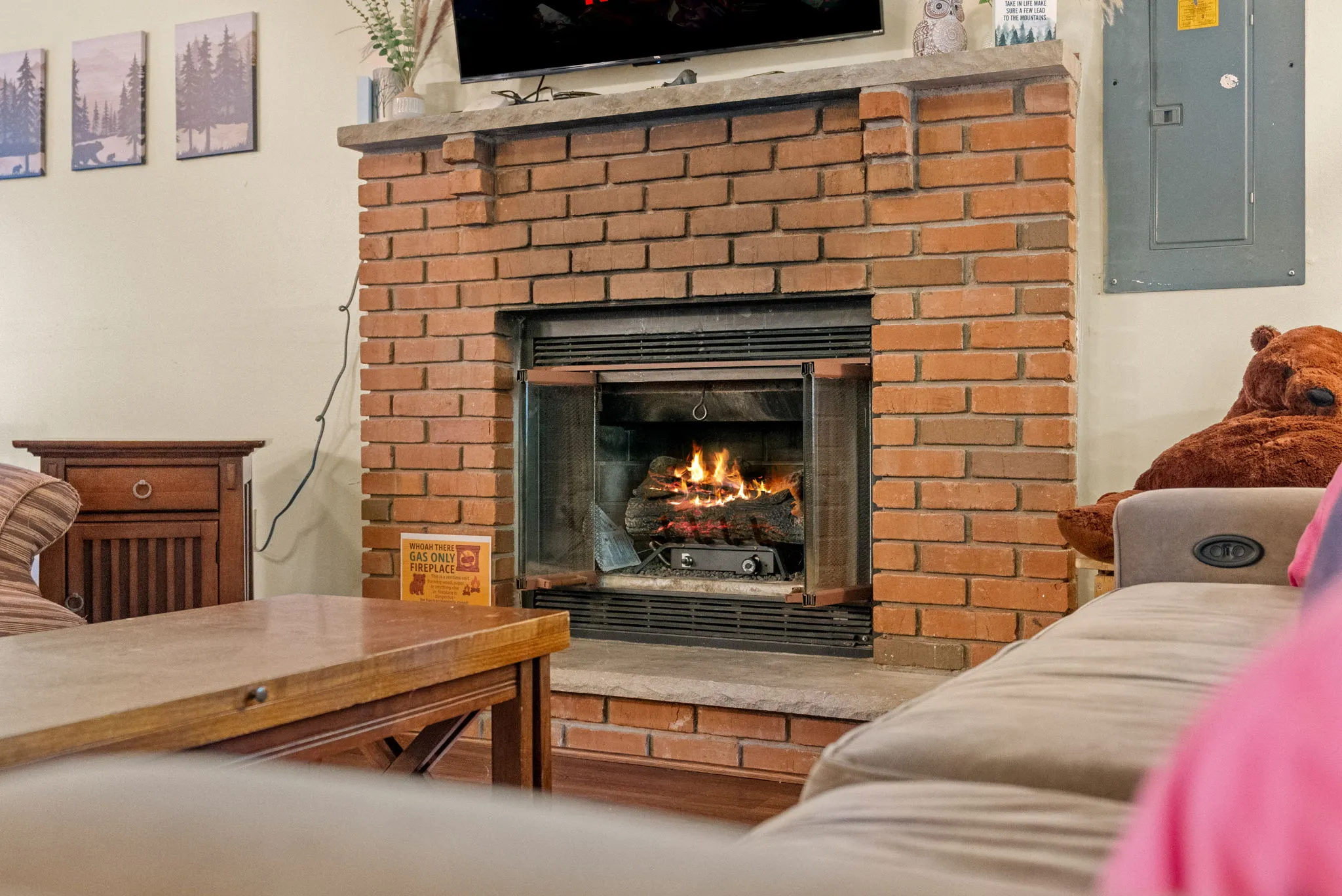 Gas fireplace in the living room