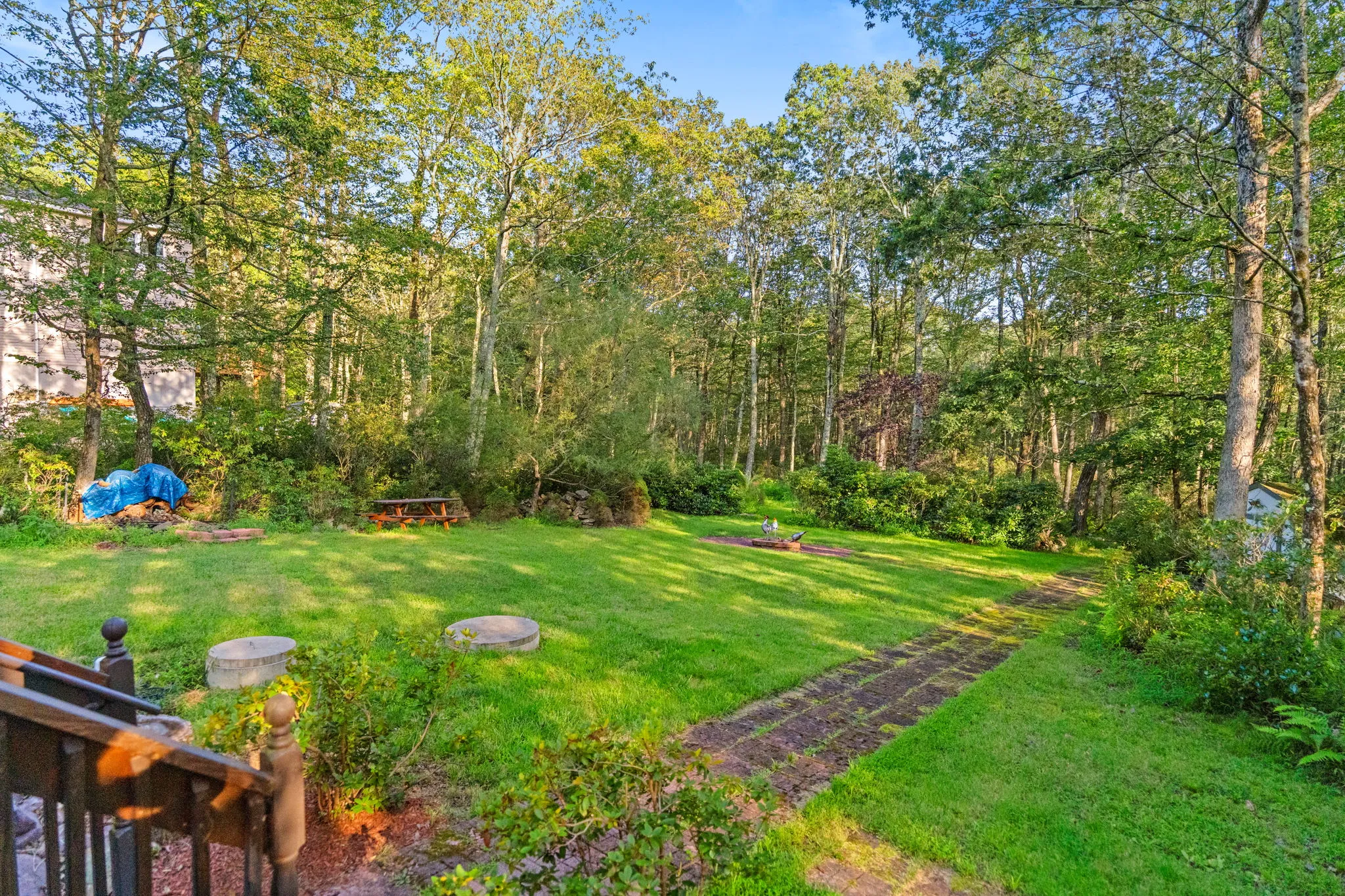 Deck and wooded yard, 7 of 19